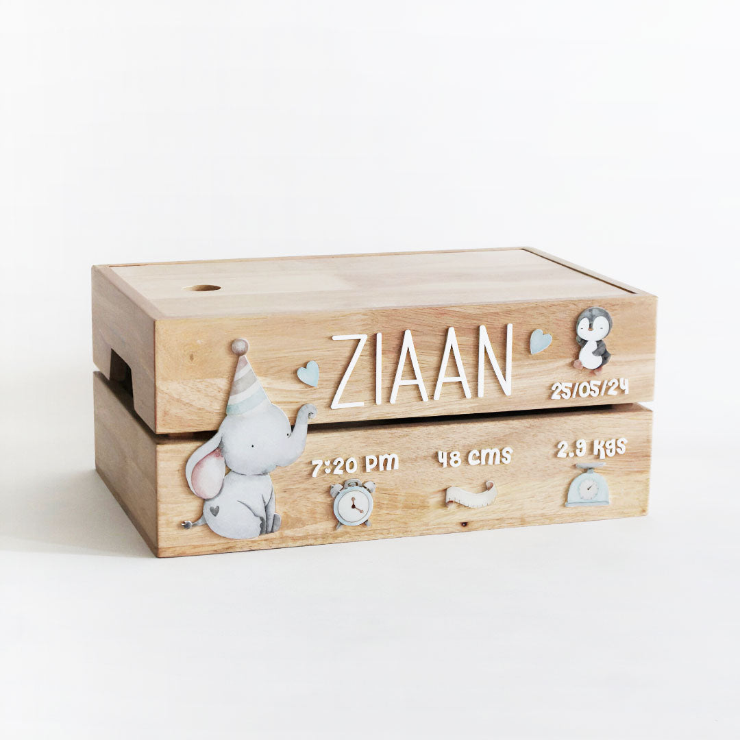 Personalized Wooden Box - Birth Statistics Boy Theme